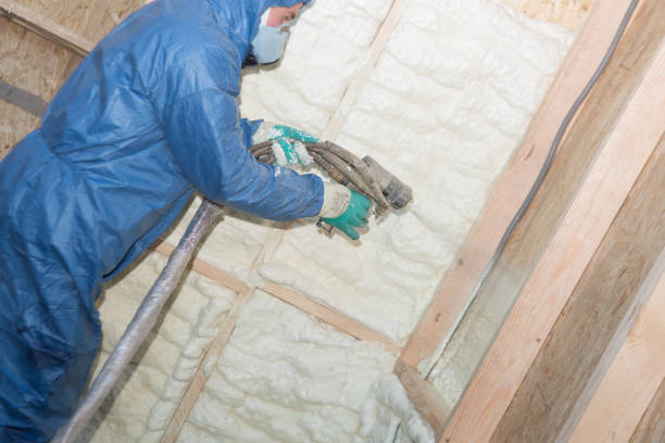 Best Batt and Roll Insulation  in Pine Beach, NJ